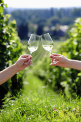 Toasting with two glasses of white wine in the vineyard