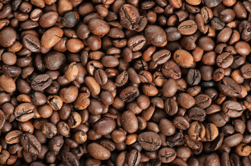 Fototapeta premium coffee beans closeup
