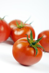 FRESH RED TOMATOES