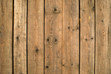 Naklejka premium Wooden texture