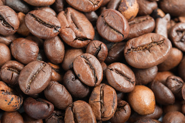 coffee beans closeup