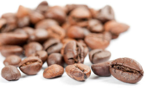 coffee bean closeup