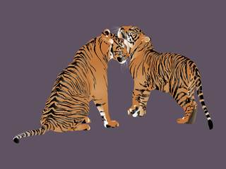 Tigers