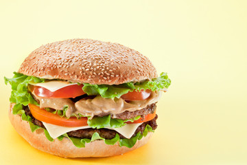Hamburger.