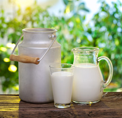 Milk in various dishes.