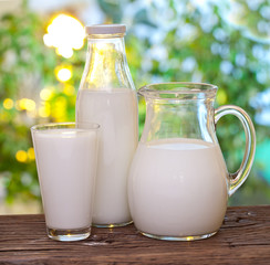 Milk in various dishes.