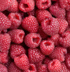 Raspberry close-up.