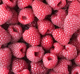 Raspberry close-up.