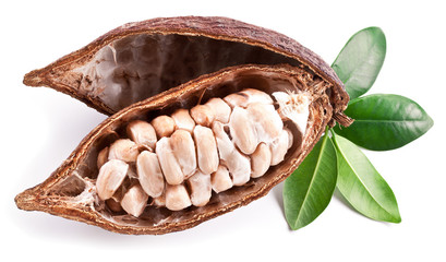 Cocoa pod