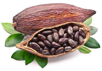 Cocoa pod