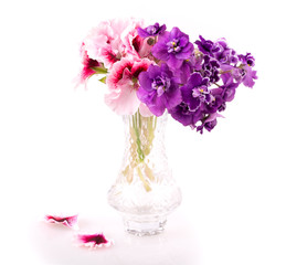 violet and geranium flowers
