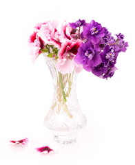 violet and geranium flowers