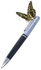 papillon sur stylo