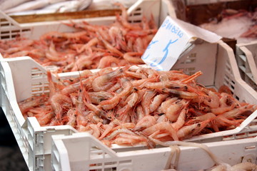 gamberi