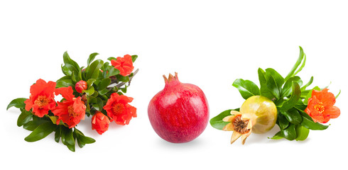Pomegranate