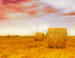 Bale of Hay