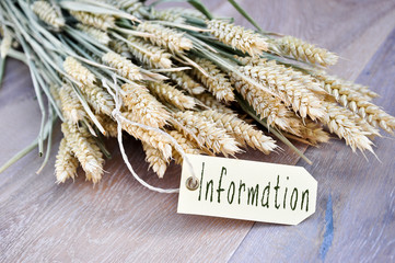 Information