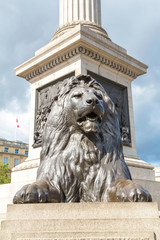 Fototapeta na wymiar A lion on Trafalgar square.
