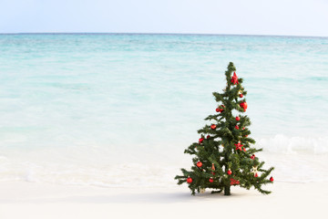 Christmas Tree On Beautiful Tropical Beach