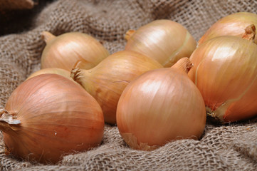 onions