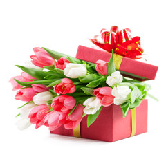 Tulips in a gift box