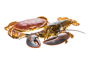 Raw Lobster and Crab