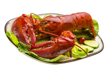 Large Lobster