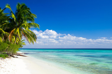 Tropical sunny beach and coconut palms. Summer vacation and tropical beach concept.