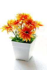 Colorful is Orange Flowers in a White vase.