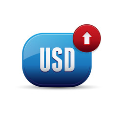 USD Currency - United States Dollar