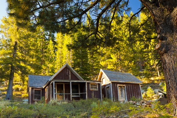 Old homestead on the Tahoe Flume Trail