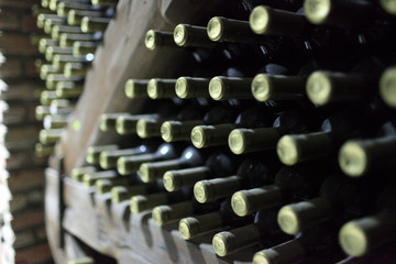 Bottles of wine on a wooden shelf