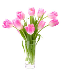Pink tulips bouquet in vase isolated on white background © Natika