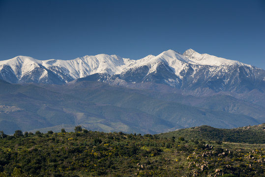 Le Canigou depuis les Orgues d'Ille sur T&ecirc;t