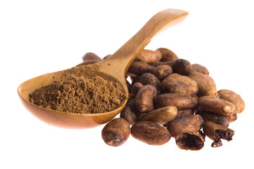 Cacao beans isolated on white background