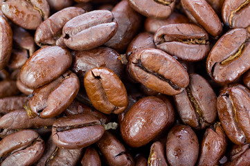 Roasted coffee beans