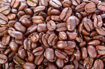 Roasted coffee beans