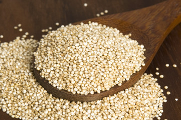 Quinoa grain