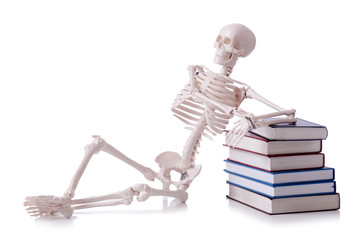 Skeleton reading books on white