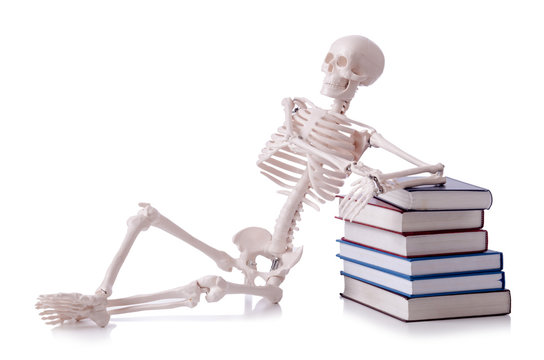 Skeleton Reading Books On White