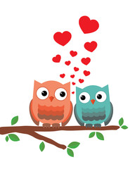Owls in Love