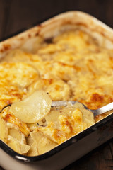 Potato gratin