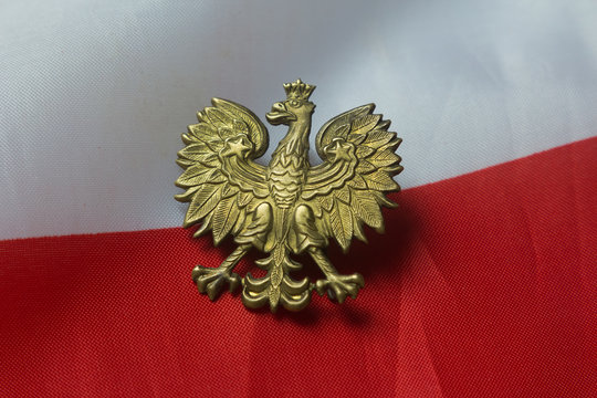 orzeł_godło