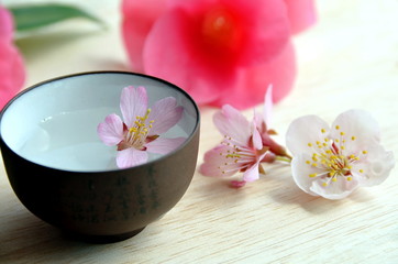 sake with spring flowers