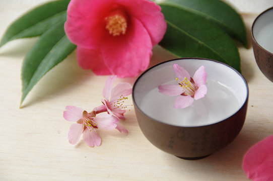 sake with spring flowers