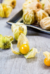 Cape Gooseberry