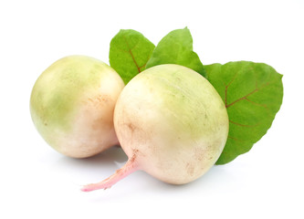 fresh radish with leaves