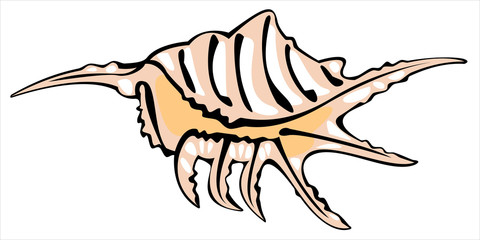 one vector pink shell isolated on white background