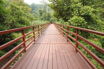 Fototapeta na wymiar Bridge to the jungle,Thailand