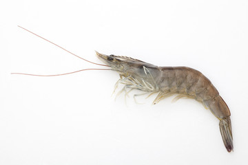 Raw shrimp